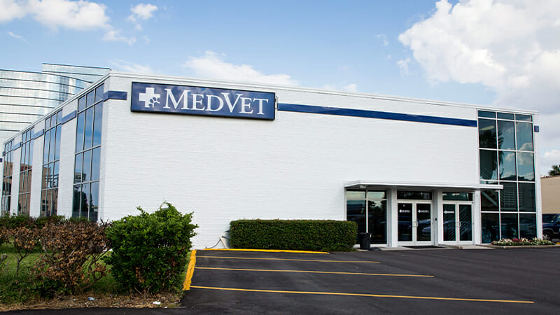 MedVet New Orleans Hospital Building