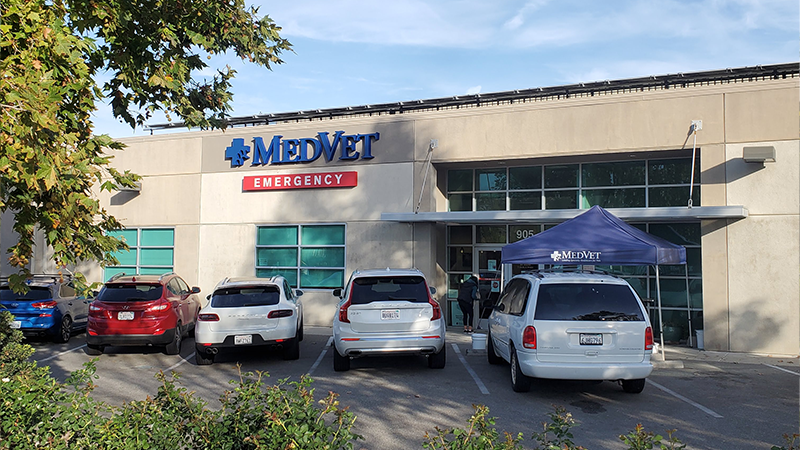 MedVet Campbell Hospital Building