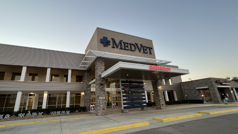 MedVet Dallas Hospital Building