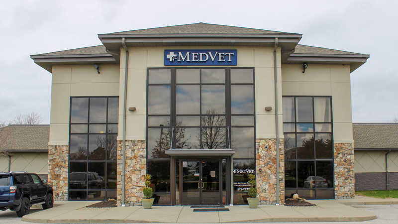MedVet Indianapolis Hospital Building
