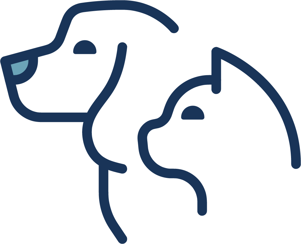 MedVet Website_Pets Icon_MedVet Experience_800x800 Caring for Pets Annually