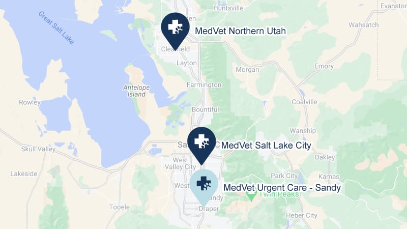 A Continuum of Care for Utah Pets 