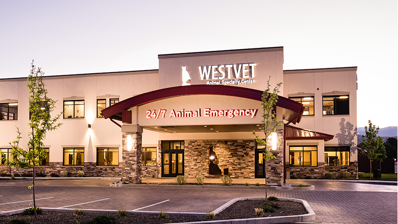 WestVet Boise Hospital Building