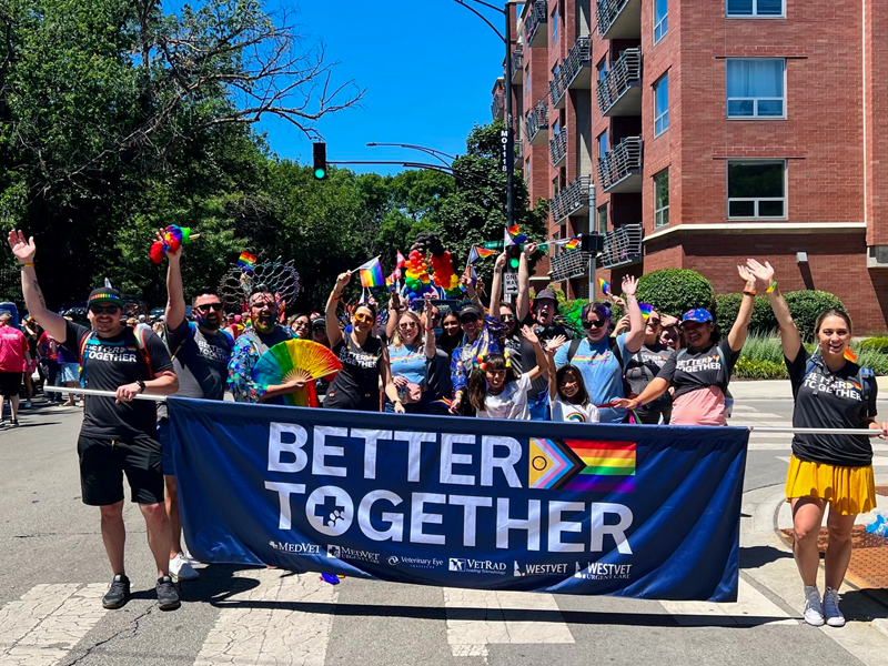 MedVet team members march in the Chicago PRIDE Parade