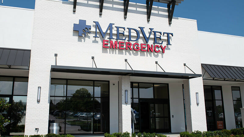 MedVet Mandeville Hospital Building