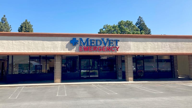 MedVet Silicon Valley Hospital Building