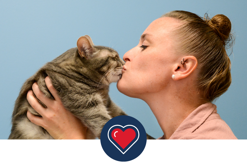 MedVet Core Value Compassion Veterinarian kisses cat