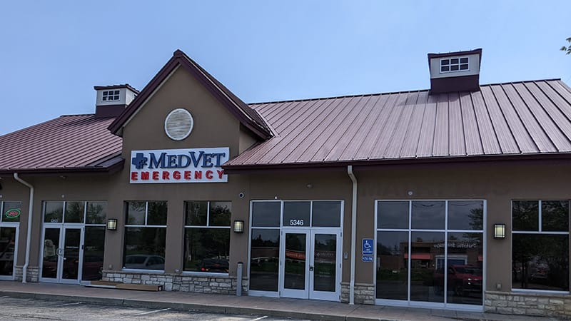 MedVet New Albany Hospital Building