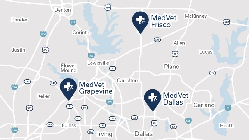 A Continuum of Care for Dallas Area Pets