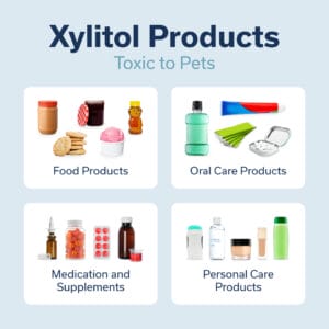 toxic xylitol products to pets
