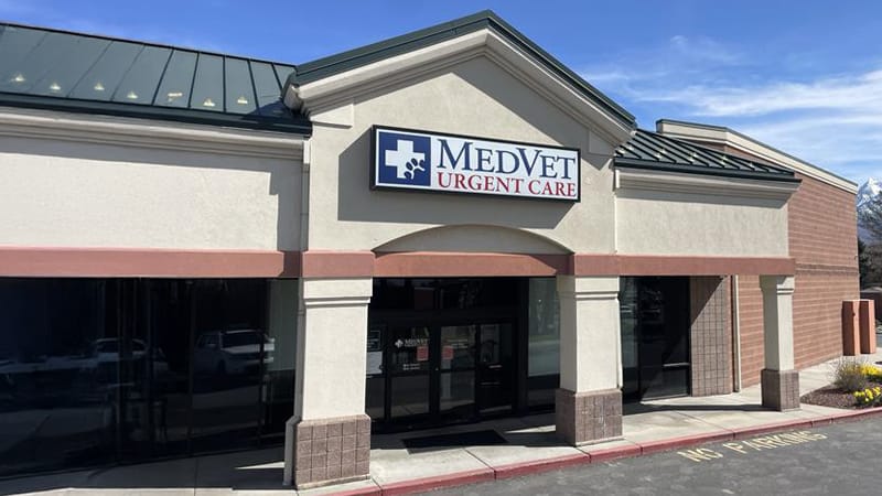 MedVet Urgent Care – Sandy Hospital Building