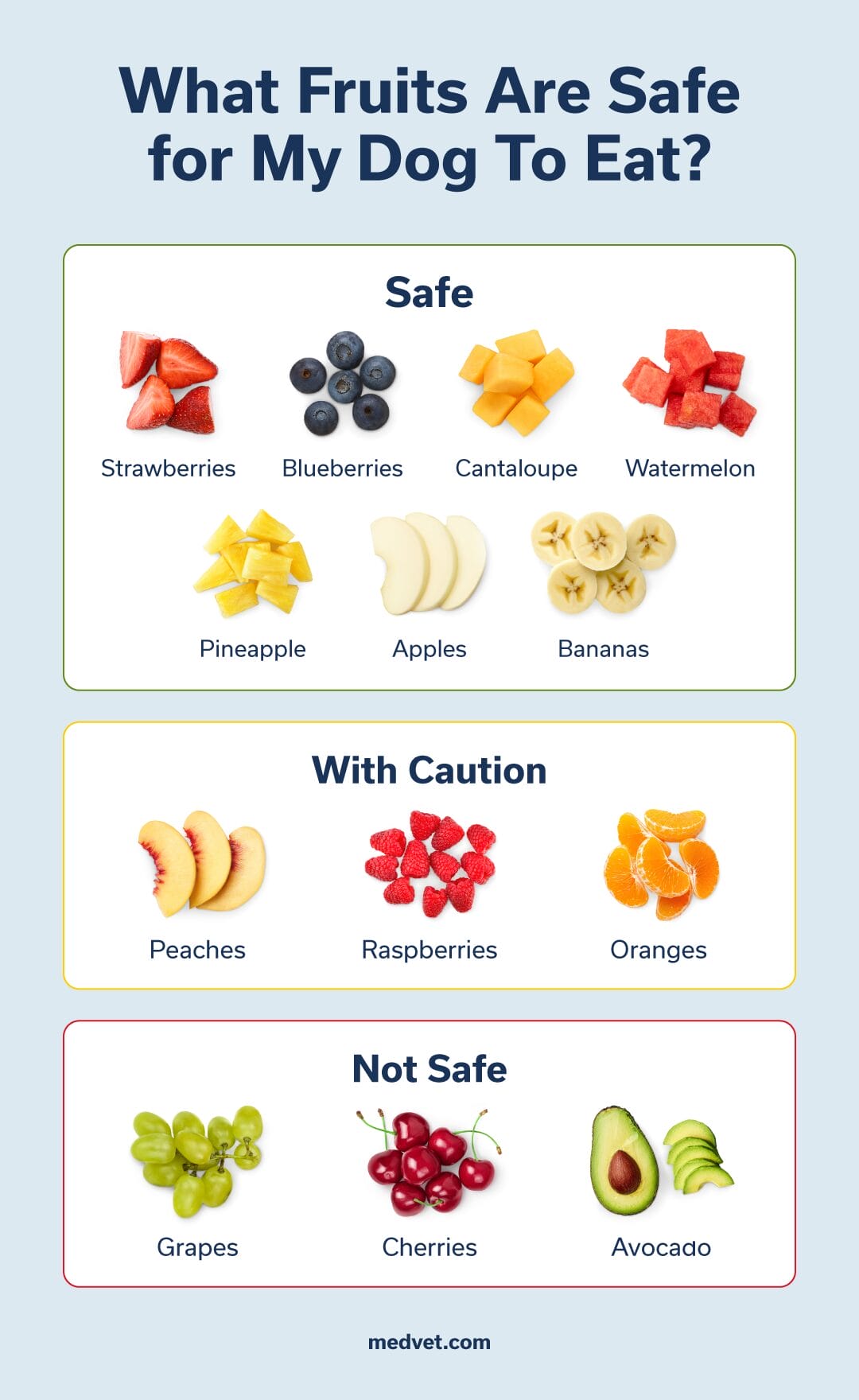 fruits safe for dogs to eat
