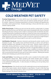 Cold Weather Pet Safety -- Tips From the Emergency Veterinary Staff at MedVet Chicago for Keeping Pets Safe in the Cold Weather