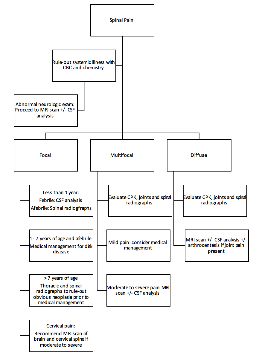 Figure 1. Decision-making algorithm for medical management of spinal pain in dogs.