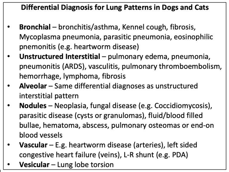 Table 1. Differential diagnosis for common lung patterns in dogs and cats.