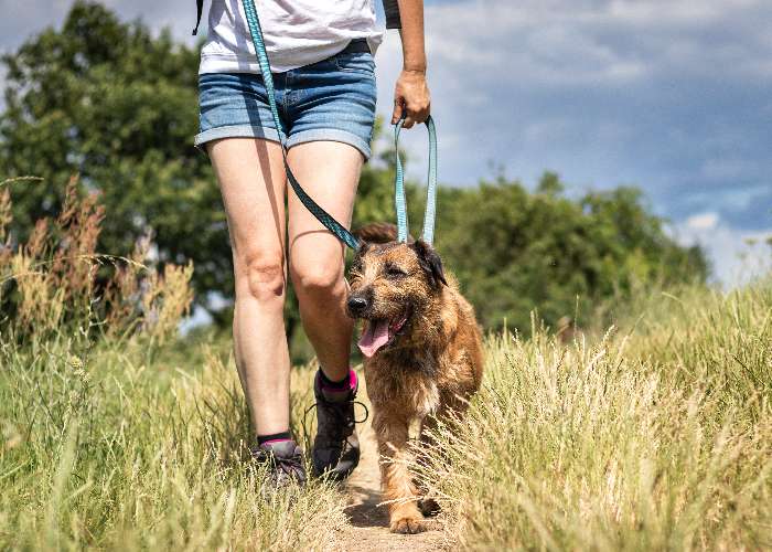 Pet Hiking and Camping Safety - Women hiking with dog