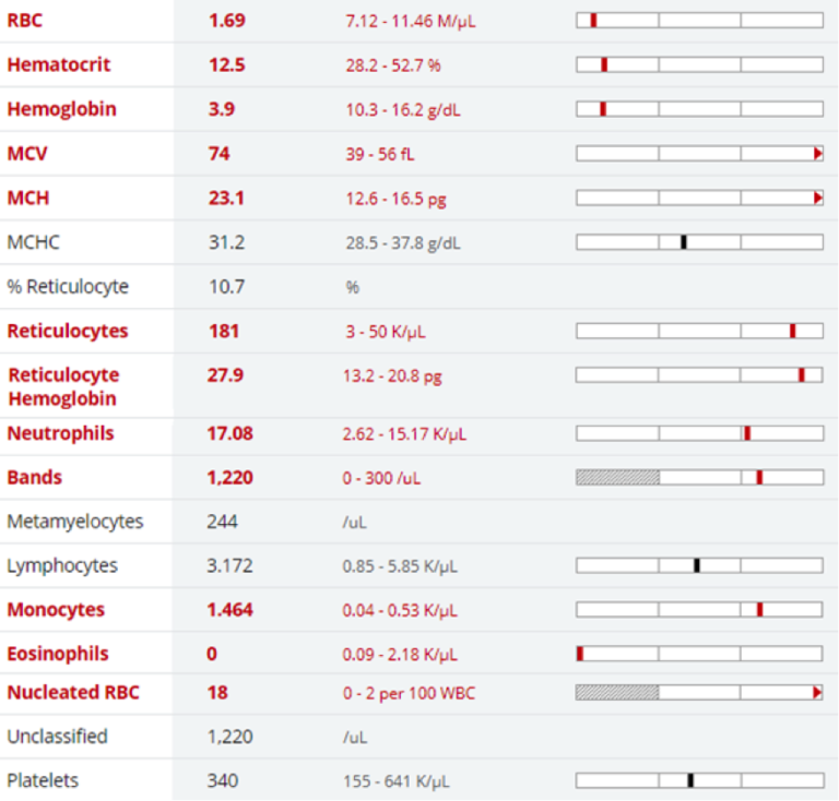 Figure 1. Select CBC results from a 3-year-old anemic cat. 