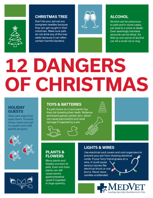12 Dangers of Christmas