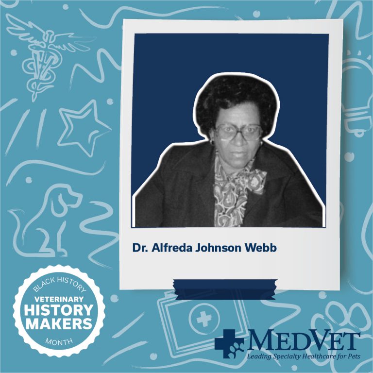 Black History Month - Dr. Alfreda Johnson Webb