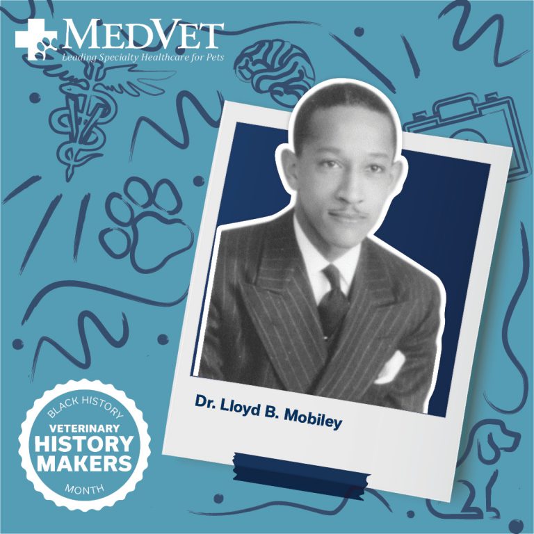 Dr. Lloyd B. Mobiley