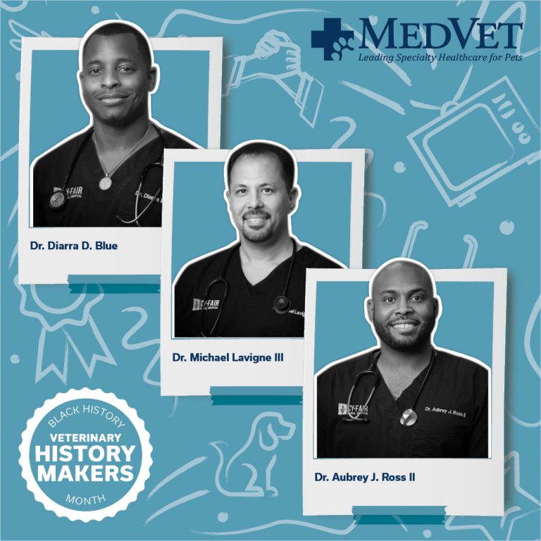 Black History Month - Dr. Diarra Blue, Dr. Aubrey Ross, and Dr. Michael Lavigne