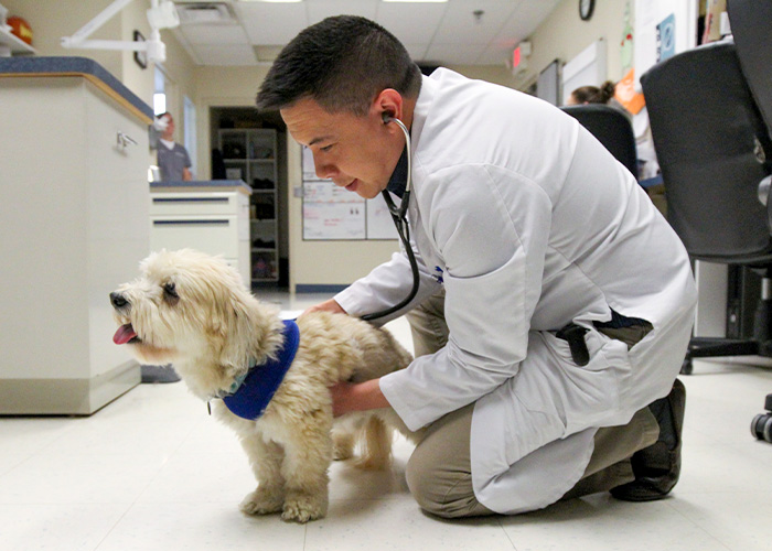 Dr. Thaibinh Nguyenba with dog