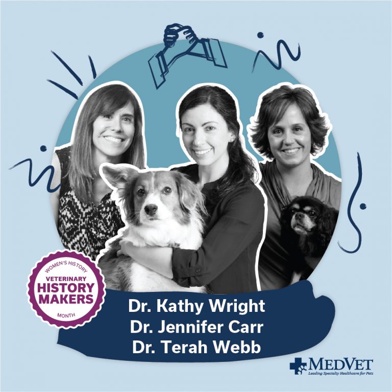 Women's History Month - MedVet Doctors