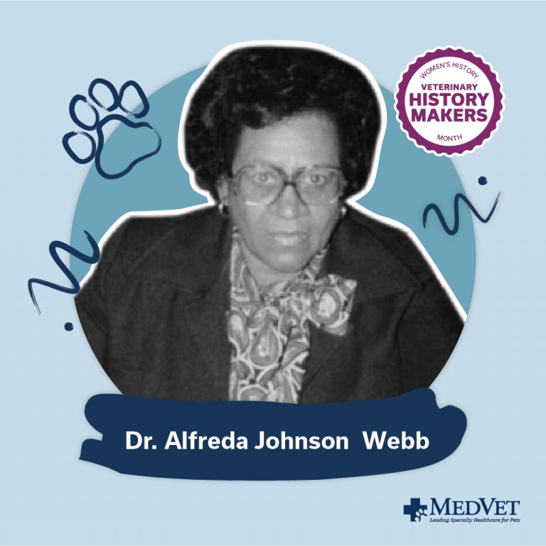 Women's History Month - Dr. Alfreda Johnson Webb