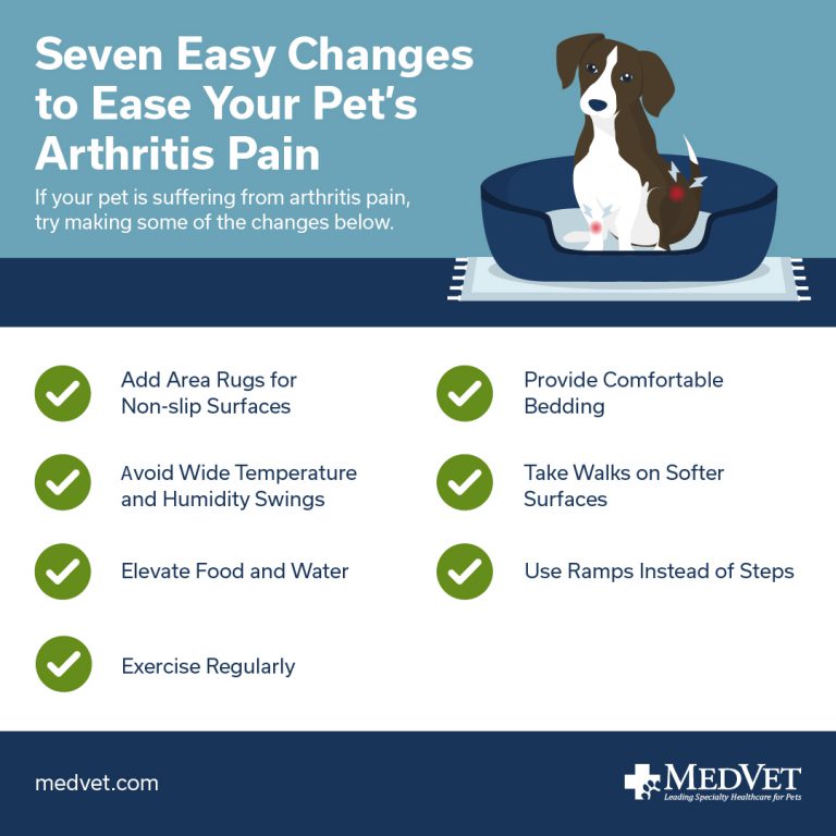 Managing Arthritis in Cats and Dogs - How to Ease Your Pet's Arthritis Pain