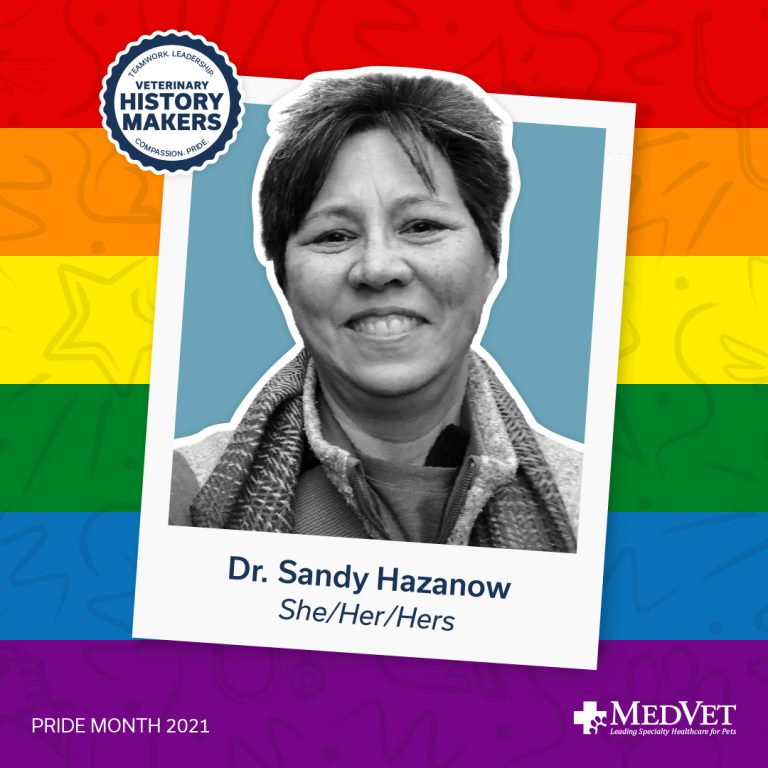 MedVet Pride Month - Sandy Hazanow