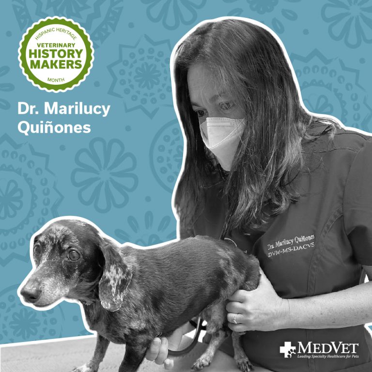 Hispanic Heritage Month - Marilucy Quinones