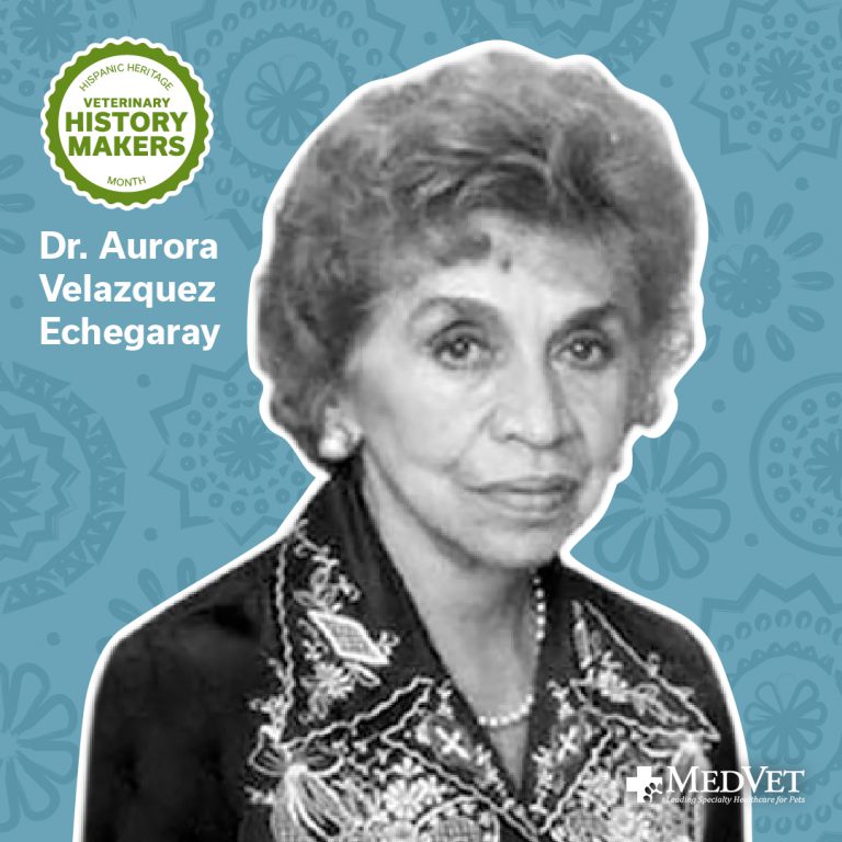 Hispanic Heritage Month - Aurora Velazquez Echegaray