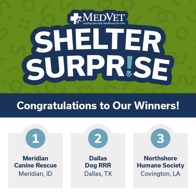 2022 MedVet Shelter Surprise Winners