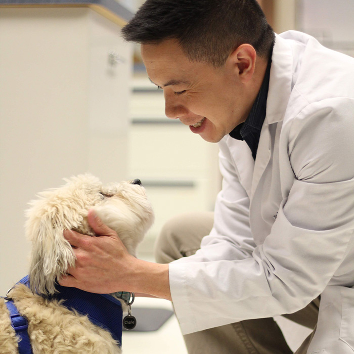 Dr. Thaibinh Nguyenba caring for dog.